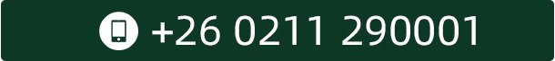 tel:+26 0211 290001